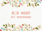 2.1神经调节的结构基础 课件 【新教材】人教版（2019）高中生物选择性必修一