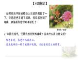 2.2神经调节的基本方式 课件 【新教材】人教版（2019）高中生物选择性必修一