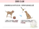 2.2神经调节的基本方式 课件 【新教材】人教版（2019）高中生物选择性必修一