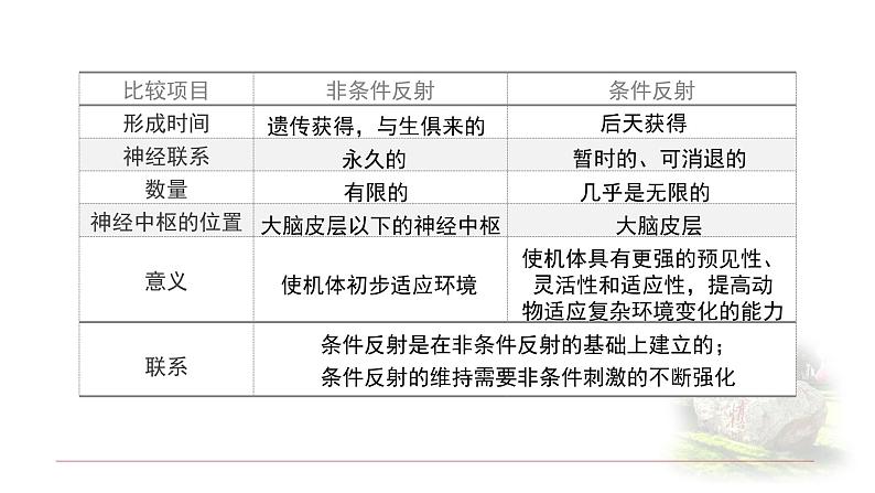 2.2神经调节的基本方式 课件 【新教材】人教版（2019）高中生物选择性必修一08