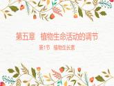 5.1.1植物生长素 课件 【新教材】人教版（2019）高中生物选择性必修一