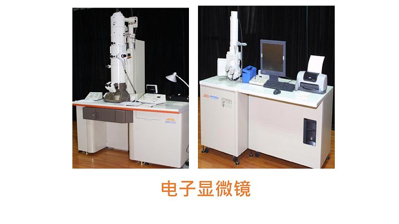 1.2 细胞的多样性和统一性 课件-【新教材】高一上学期生物人教版（2019）必修一第4页