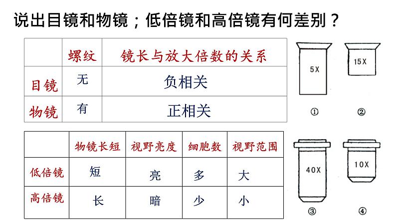 1.2 细胞的多样性和统一性 课件-【新教材】高一上学期生物人教版（2019）必修一第6页