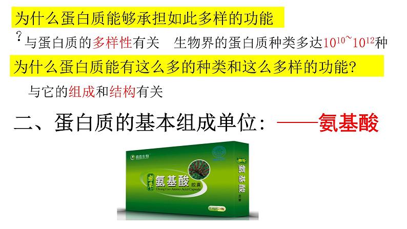 2.4 蛋白质是生命活动的主要承担者 课件-【新教材】高一上学期生物人教版（2019）必修一05