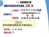 2.1 细胞中的元素和化合物 课件-【新教材】高一上学期生物人教版（2019）必修一