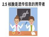 2.5 核酸是遗传信息的携带者 课件-【新教材】高一上学期生物人教版（2019）必修一