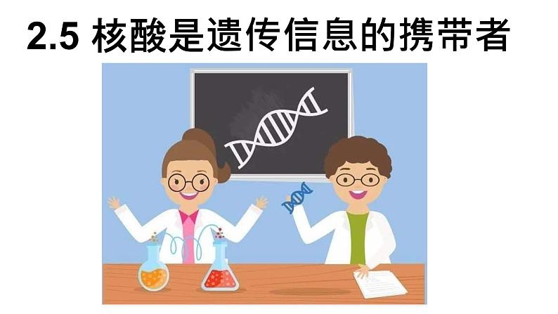 2.5 核酸是遗传信息的携带者 课件-【新教材】高一上学期生物人教版（2019）必修一01