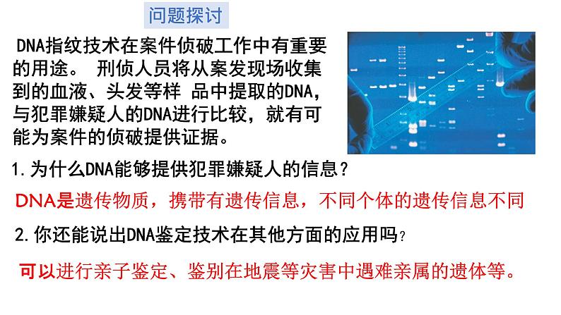 2.5 核酸是遗传信息的携带者 课件-【新教材】高一上学期生物人教版（2019）必修一02