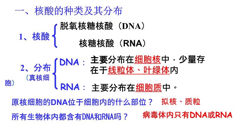 2.5 核酸是遗传信息的携带者 课件-【新教材】高一上学期生物人教版（2019）必修一03