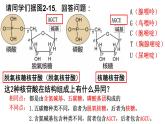2.5 核酸是遗传信息的携带者 课件-【新教材】高一上学期生物人教版（2019）必修一