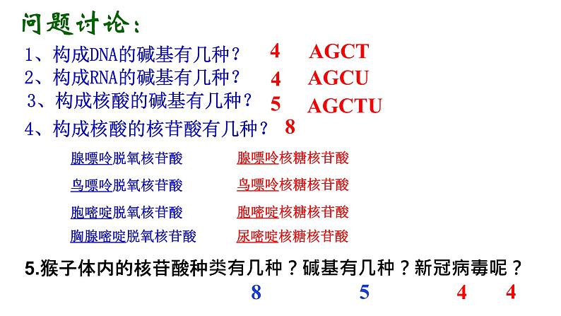 2.5 核酸是遗传信息的携带者 课件-【新教材】高一上学期生物人教版（2019）必修一08