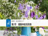 2.2 细胞中的无机物 课件-【新教材】高一上学期生物人教版（2019）必修一