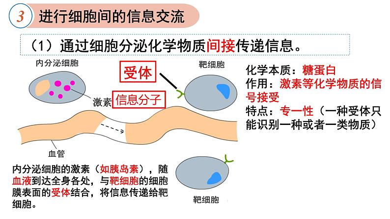 3.1 细胞膜的结构和功能 课件-【新教材】高一上学期生物人教版（2019）必修一第6页