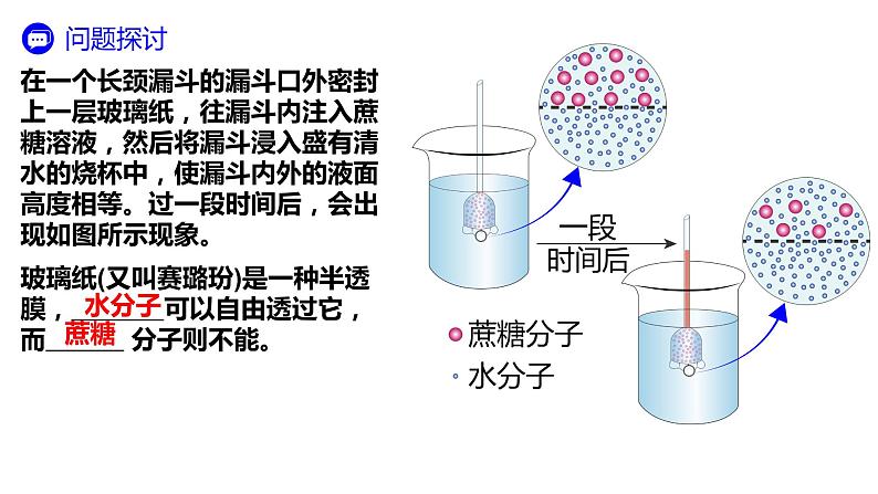 4.1 被动运输 课件-【新教材】高一上学期生物人教版（2019）必修一第3页