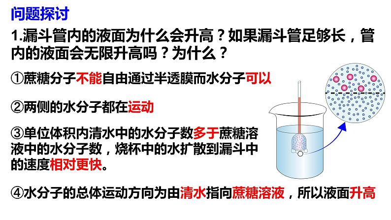 4.1 被动运输 课件-【新教材】高一上学期生物人教版（2019）必修一第4页