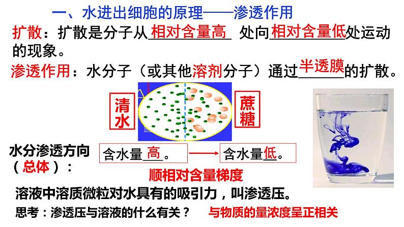 4.1 被动运输 课件-【新教材】高一上学期生物人教版（2019）必修一第6页