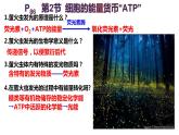 5.2 细胞的能量货币ATP 课件-【新教材】高一上学期生物人教版（2019）必修一