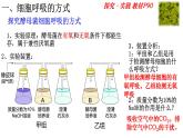 5.3 细胞呼吸的原理和利用 课件-【新教材】高一上学期生物人教版（2019）必修一