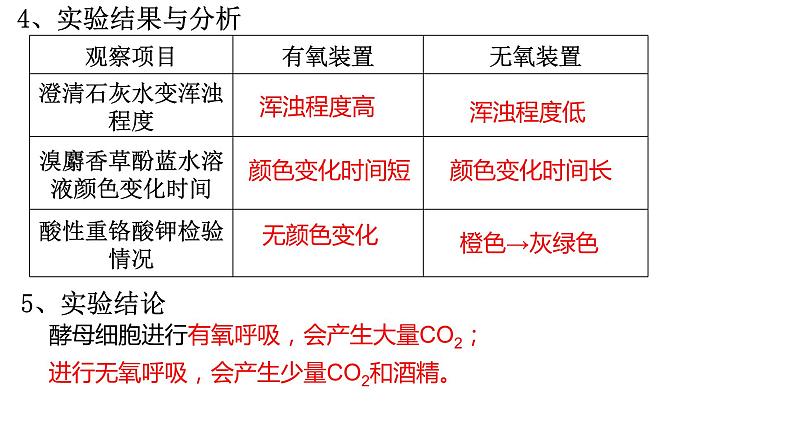 5.3 细胞呼吸的原理和利用 课件-【新教材】高一上学期生物人教版（2019）必修一第7页