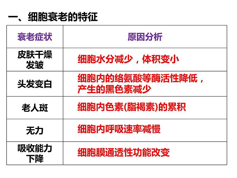 6.3 细胞的衰老和死亡 课件-【新教材】高一上学期生物人教版（2019）必修一03