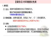 1.1.2细胞生活的环境 课件 【新教材】人教版（2019）高中生物选择性必修一