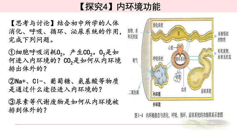 1.1.2细胞生活的环境 课件 【新教材】人教版（2019）高中生物选择性必修一05