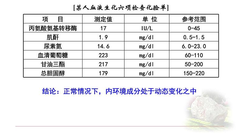 1.2内环境的稳态 课件 【新教材】人教版（2019）高中生物选择性必修一05