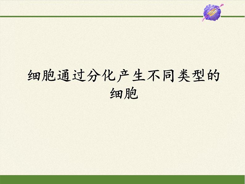 细胞通过分化产生不同类型的细胞PPT课件免费下载01