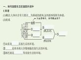 高中生物第1章人体的内环境与稳态课件+测评打包6套新人教版选择性必修第一册