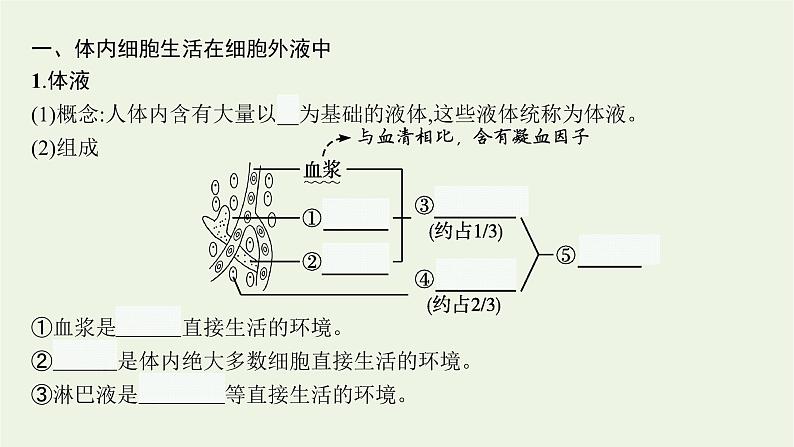 2021_2022学年新教材高中生物第1章人体的内环境与稳态第1节细胞生活的环境课件新人教版选择性必修第一册第5页