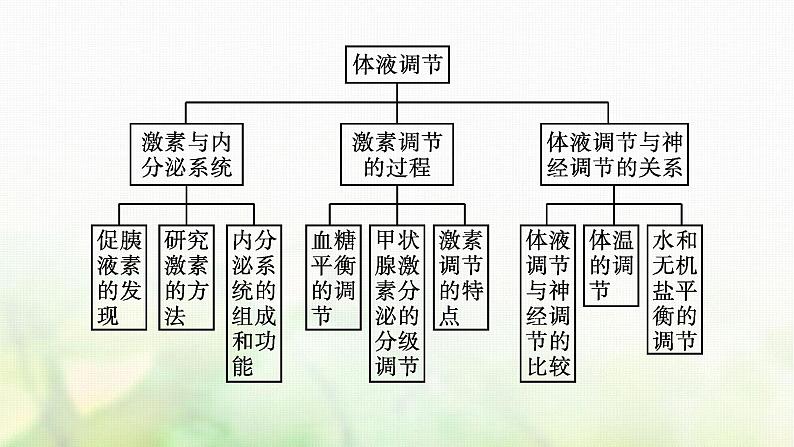 高中生物第3章体液调节课件+测评打包8套新人教版选择性必修第一册04