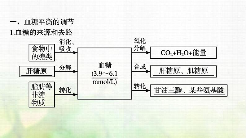 高中生物第3章体液调节课件+测评打包8套新人教版选择性必修第一册05