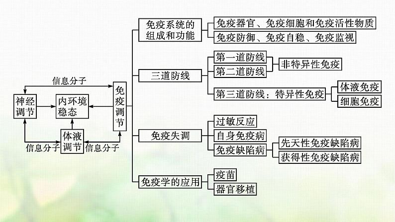 2021_2022学年新教材高中生物第4章免疫调节章末整合课件新人教版选择性必修第一册第4页