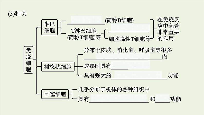 2021_2022学年新教材高中生物第4章免疫调节第1节免疫系统的组成和功能课件新人教版选择性必修第一册第7页