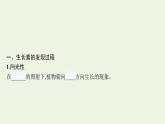 高中生物第5章植物生命活动的调节课件+测评打包10套新人教版选择性必修第一册