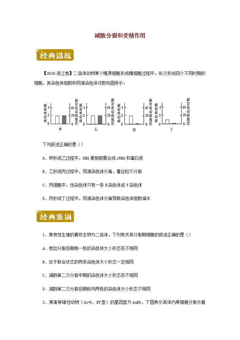 高一生物下学期暑假训练2减数分裂和受精作用含解析第1页