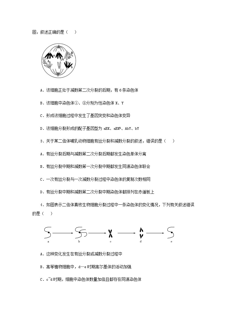 高一生物下学期暑假训练2减数分裂和受精作用含解析第2页