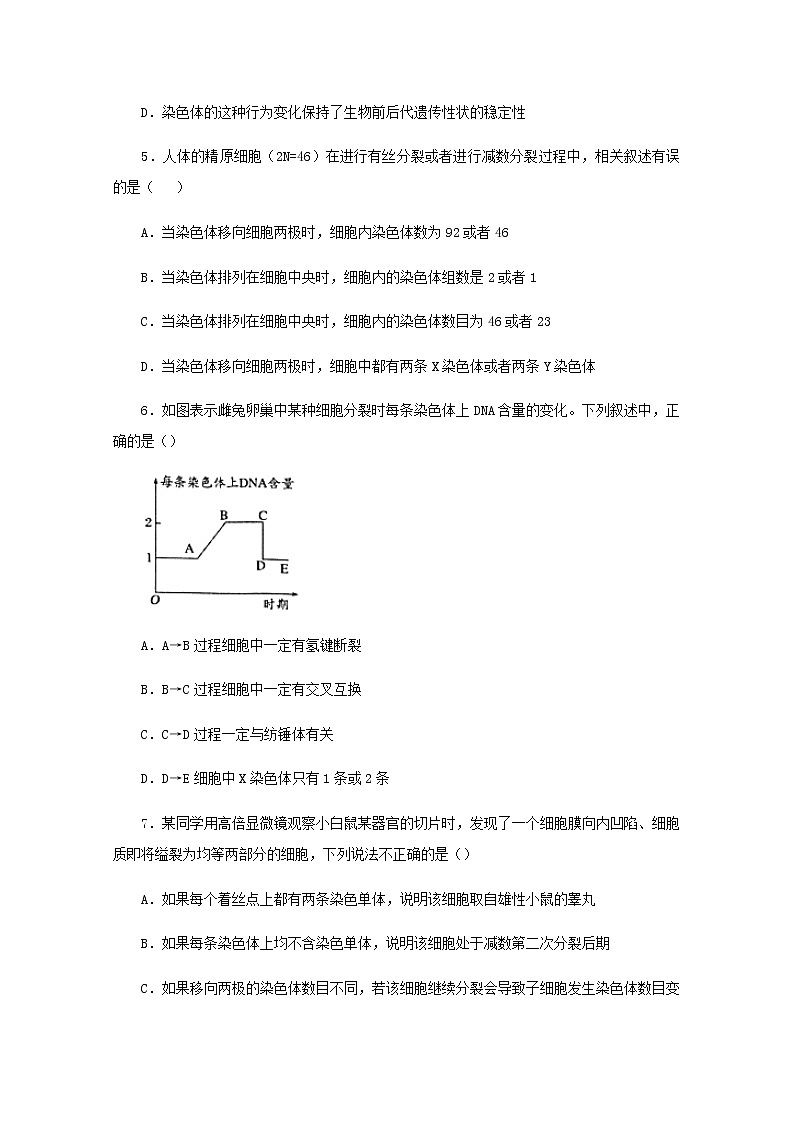 高一生物下学期暑假训练2减数分裂和受精作用含解析第3页