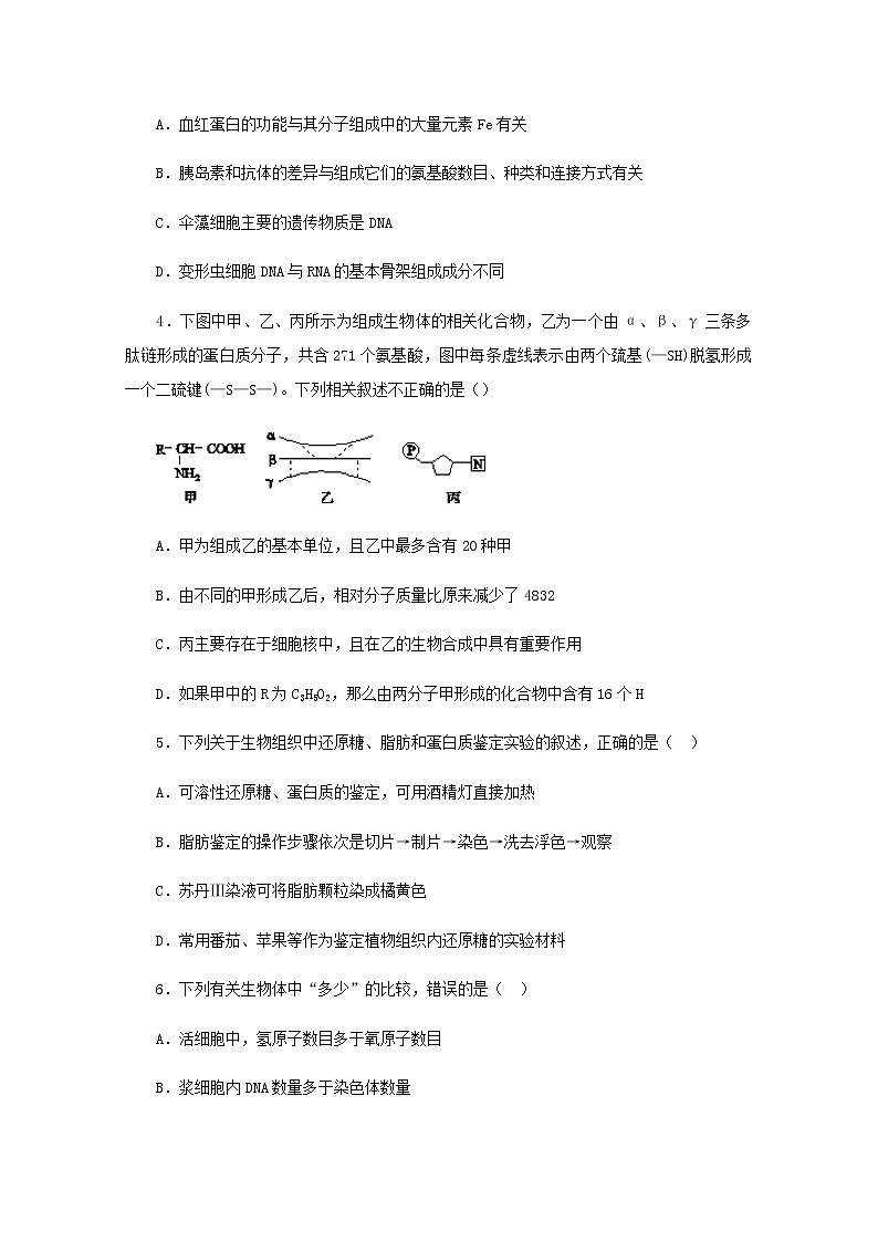 高二生物下学期暑假训练1细胞的分子组成含解析02