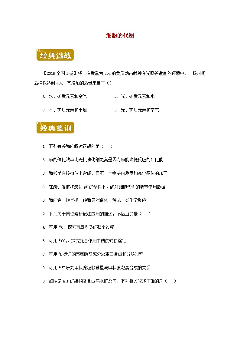 高二生物下学期暑假训练3细胞的代谢含解析01