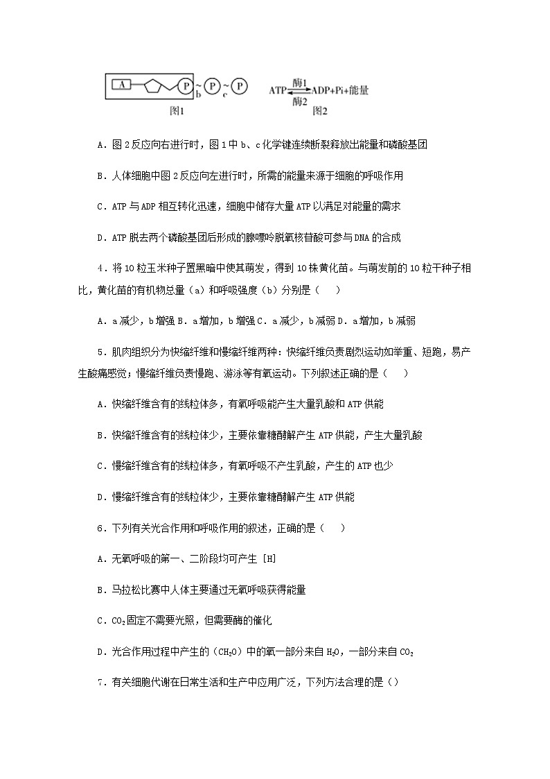 高二生物下学期暑假训练3细胞的代谢含解析02