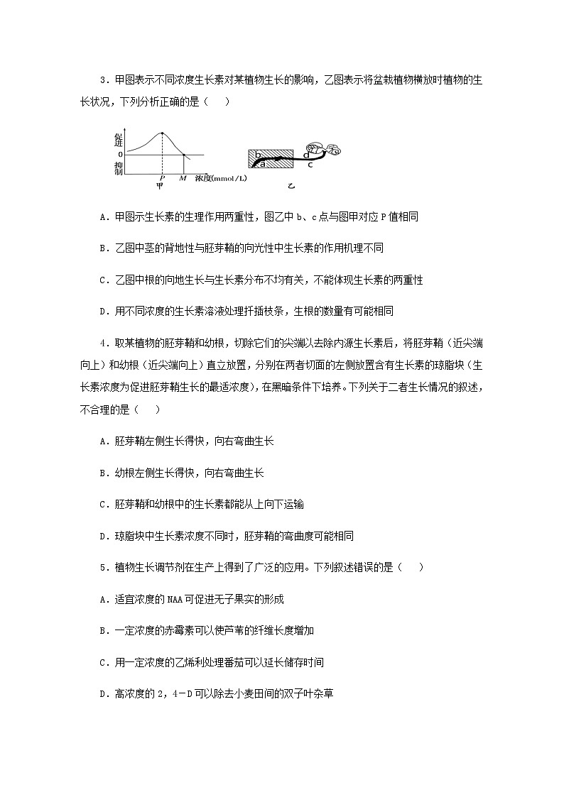 高二生物下学期暑假训练9植物的激素调节含解析02