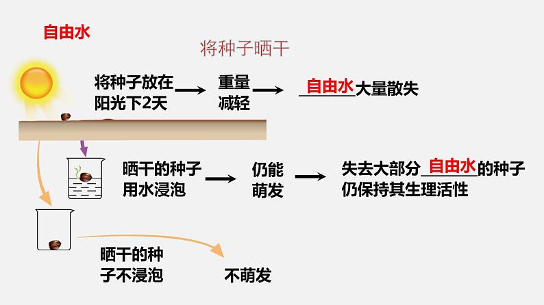 2.2细胞中的无机物（课件）（共25张PPT）-高中生物新教材同步备课（人教版必修1)第7页