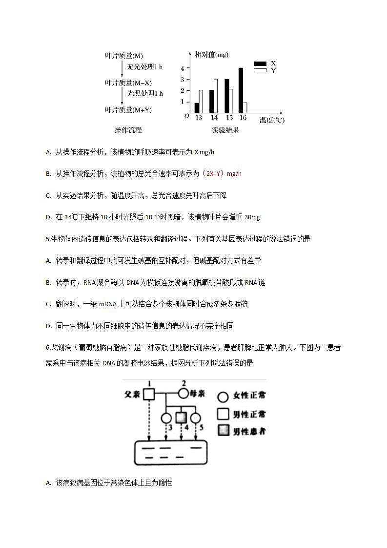 湖北省部分重点中学2022届高三上学期联考生物试题（含答案）03