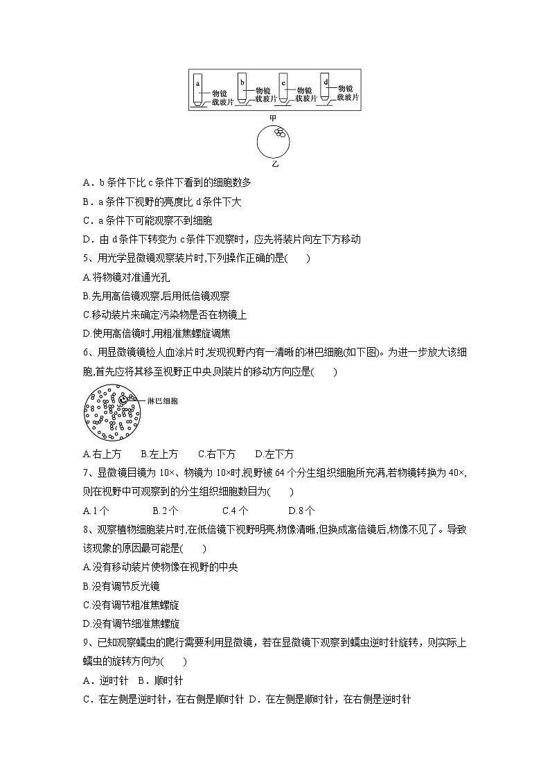 1.2.1细胞的多样性和统一性 课件+练习+教学设计-高中生物新教材同步备课（人教版必修1)02