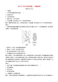 浙科版必修1  分子与细胞第四节 细胞呼吸同步达标检测题