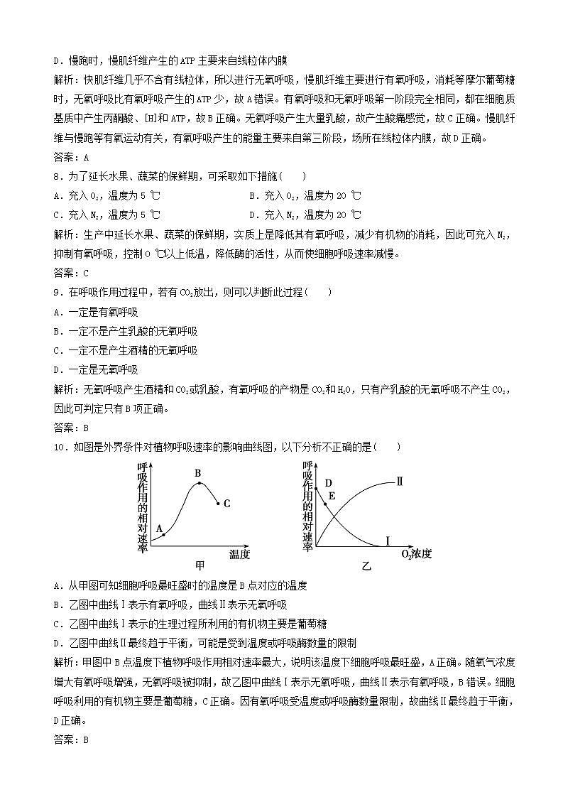 高中生物第五章细胞的能量供应和利用第节atp的主要来源细胞呼吸优化练习新人教版高一必修第3页