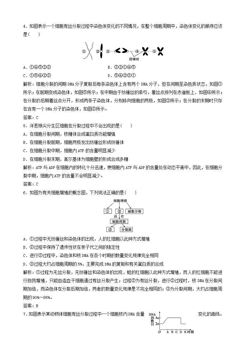 高中生物第六章细胞的生命历程第节时细胞的增殖优化练习新人教版高一必修02