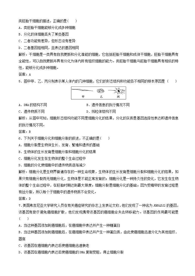 高中生物第六章细胞的生命历程第节细胞的分化衰老和凋亡及癌变优化练习新人教版高一必修02