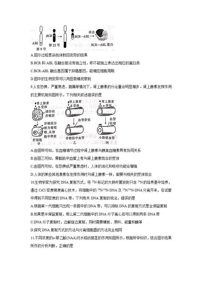河北省邢台市2022届高三上学期入学考试+生物+Word版含答案练习题第3页